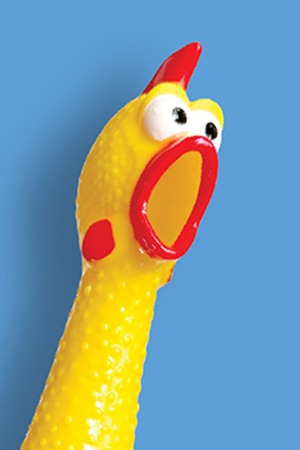 rubber chicken on a blue background